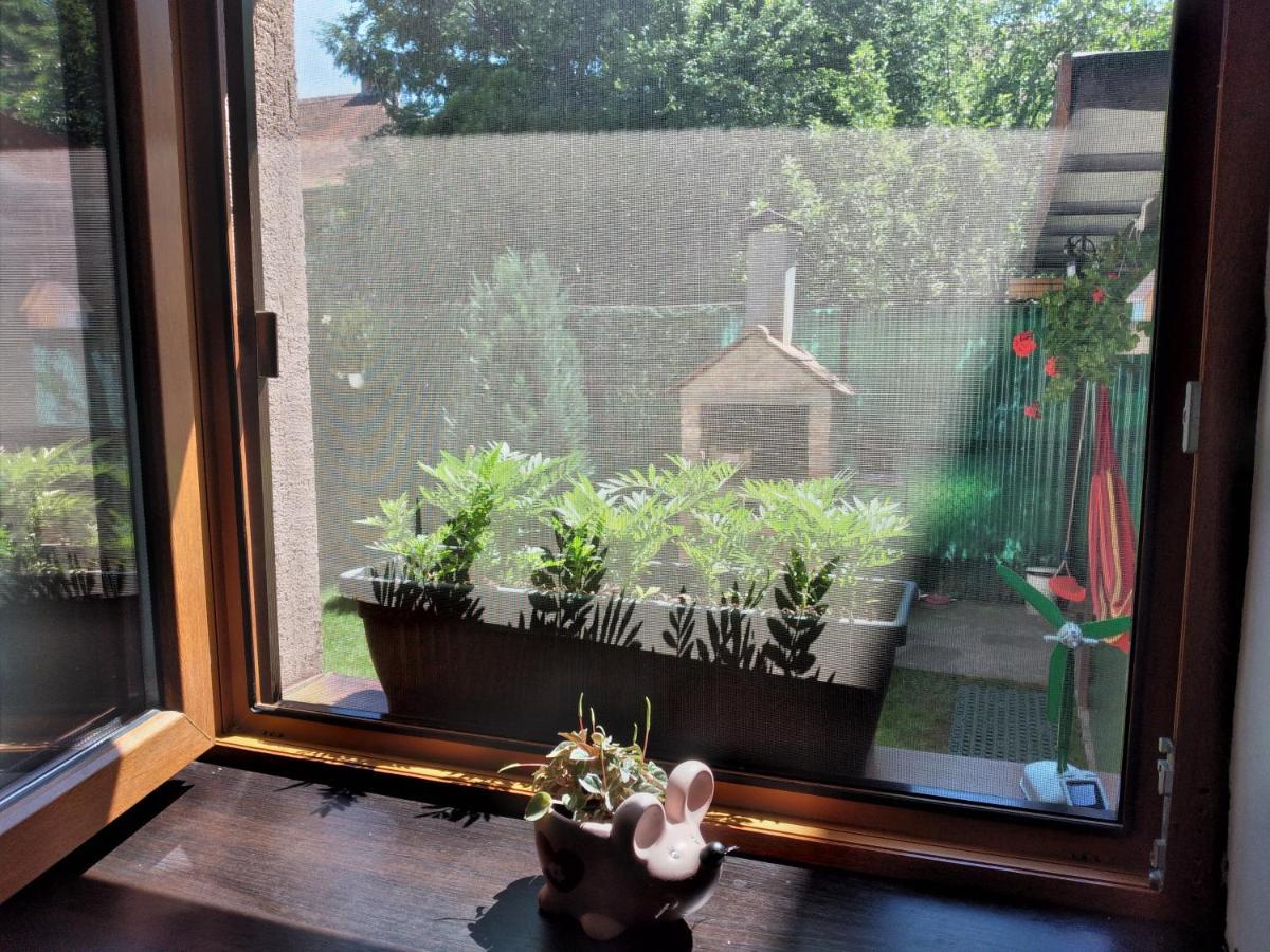 Gavri's Relaxing Place Apartment Brasov